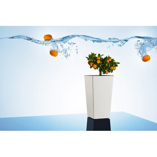 Plastmasas puķu pods Elise – Gardenico-image-4