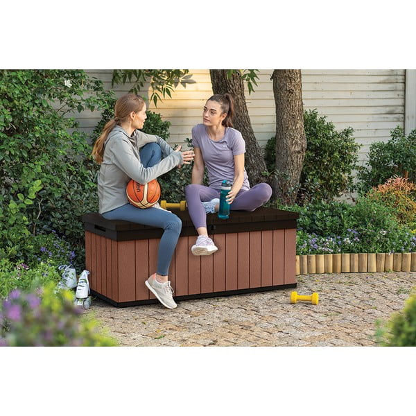 Brūna dārza uzglabāšanas kaste Darwin – Keter-image-3