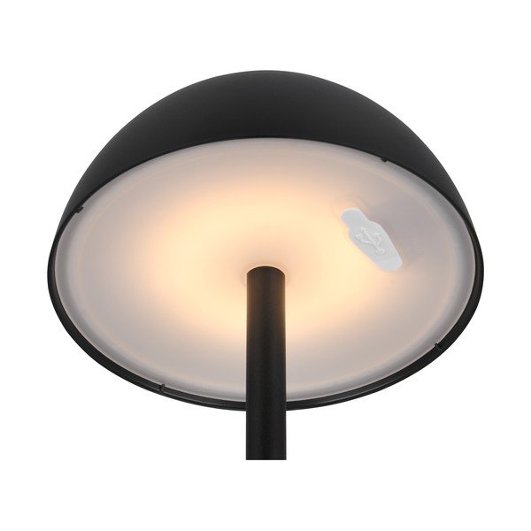 Āra gaismeklis ar regulējamu spilgtumu ø 13,5 cm Ricardo – Reality-image-3