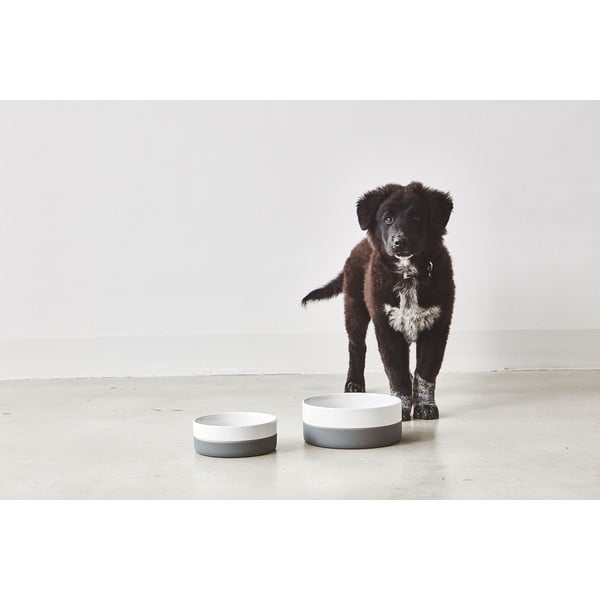 Porcelāna mājdzīvnieku bļodiņa suņiem ø 21,5 cm Coppa Slate M/L – MiaCara-image-1