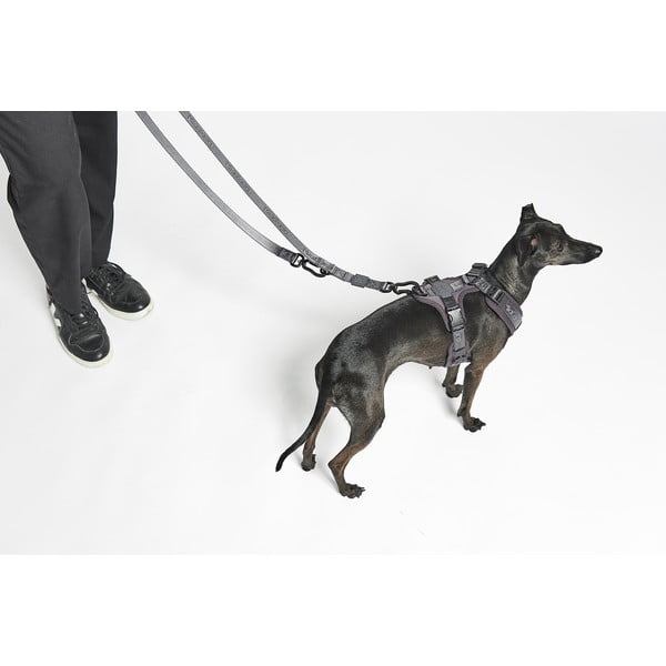 Bēša noņemama pavada garums 200 cm Modena Greige 20 mm – MiaCara-image-1