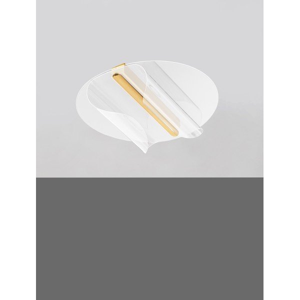 Zelta krāsas alumīnija LED griestu lampa ar regulējamu spilgtumu 55x45 cm Valentin – Nova Luce-image-3