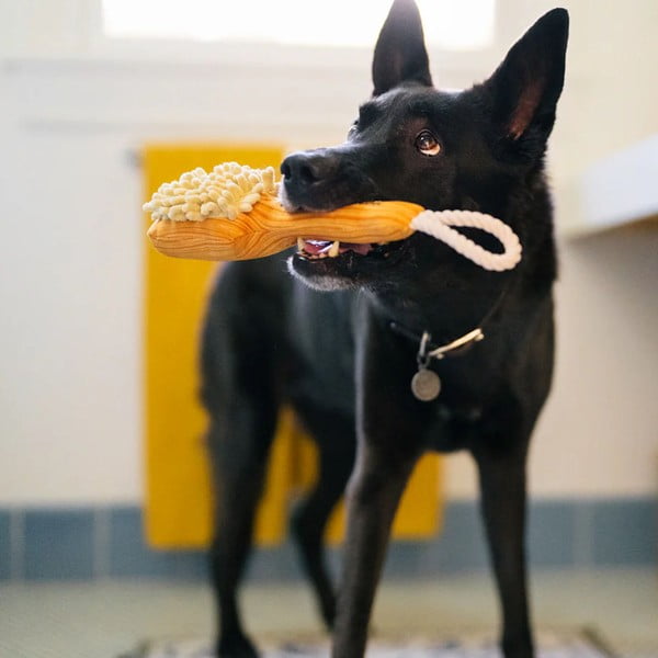 Rotaļlieta sunim Birste – P.L.A.Y.-image-1