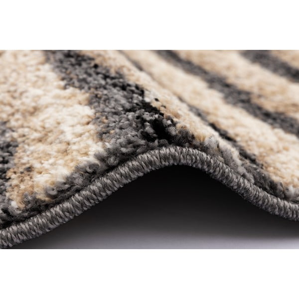 Brūns paklājs 160x220 cm Avanti – FD-image-2