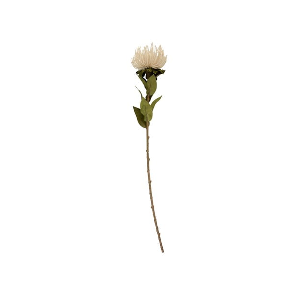 Mākslīgais augs (augstums 60 cm) Protea – PT LIVING