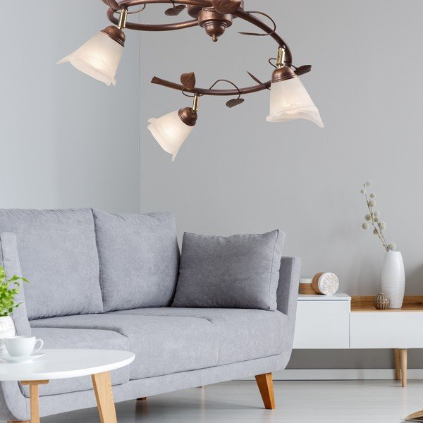 Tumši brūna griestu lampa ar stikla abažūru ø 13 cm Bluszcz – LAMKUR-image-3