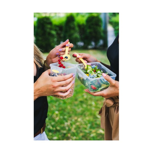 Zaļa pusdienu un uzkodu kaste ar galda piederumiem, Vialli Design, 650ml+230m-image-3