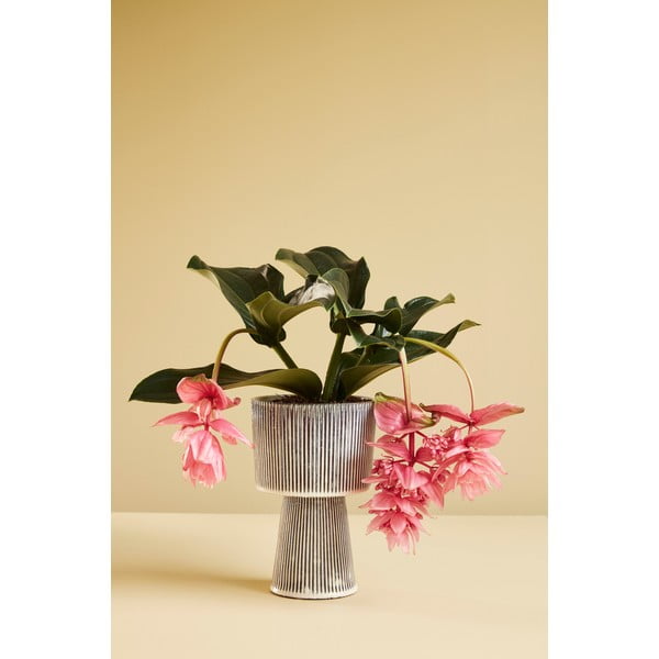 2 melni bēšu keramikas puķu podu komplekts Hübsch Pot-image-4