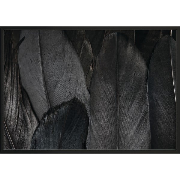 Plakāts DecoKing Feathers Black, 50 x 40 cm