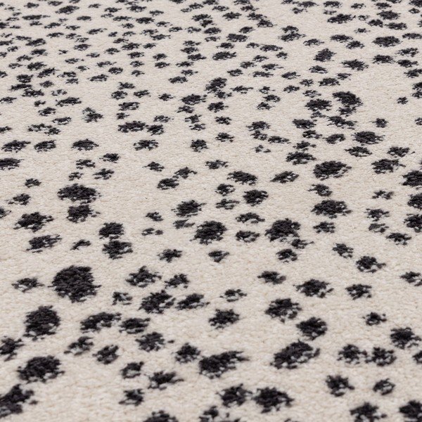 Melnbalts paklājs 160x230 cm Muse – Asiatic Carpets-image-2