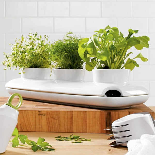 Garšaugu podiņš Sagaform Duo Herb-image-1