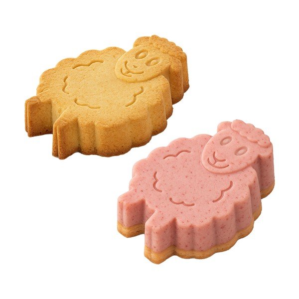 Silikona cepšanas forma 20x16 cm Statek – Orion-image-1