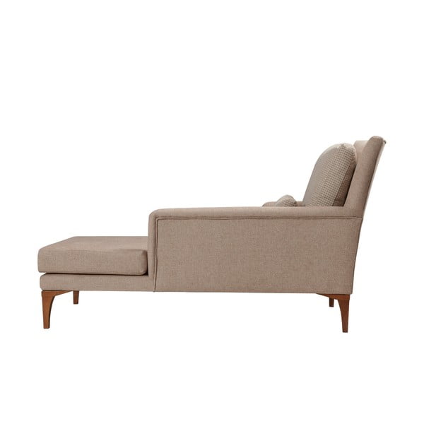 Bēšs zvilnis Bifo – Artie-image-4