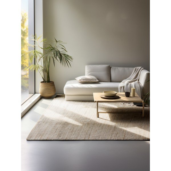 Gaiša dabīga toņa divpusējs/ar rokām darināts paklājs no džutas maisījuma 160x230 cm Dhaka – Hanse Home-image-1