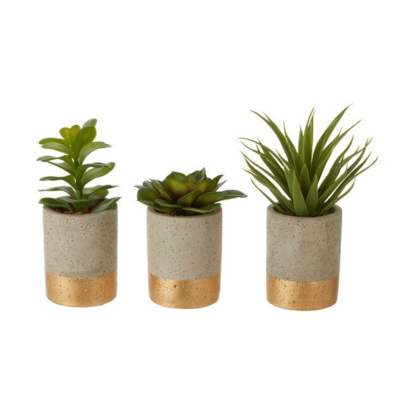 3 sukulentu komplekts keramikas puķu podos Premier Housewares Fiori-image-1