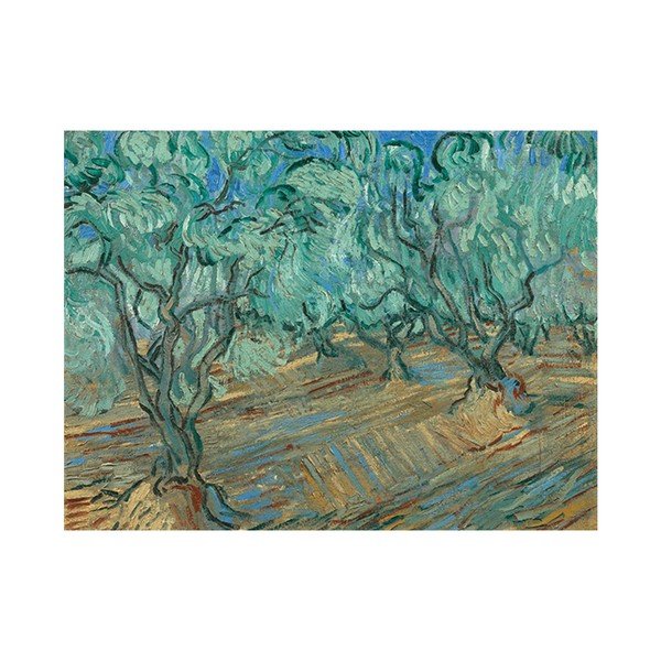 Vincents van Gogs - Olīvu birzs, 50x30 cm