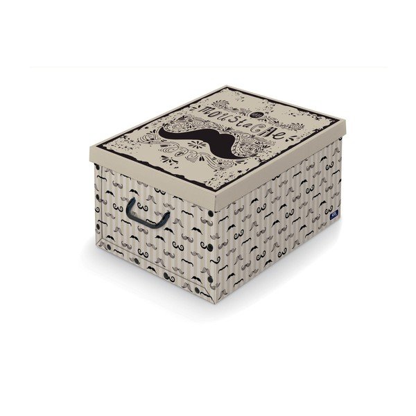 Uzglabāšanas kaste ar rokturi Domopak Mustache, garums 50 cm