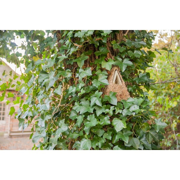 Koka putnu būda Camouflage – Esschert Design-image-1