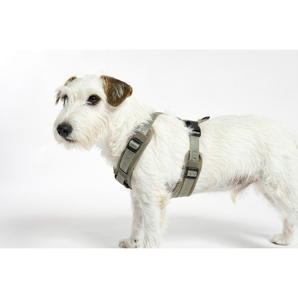 Zaļa plecu siksna L garums 42 cm Modena Grolive L – MiaCara-image-3