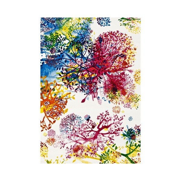 Paklājs Universal Tikey Anemone, 120 x 170 cm