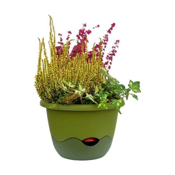 Zaļš iekarināms pašapūdeņojošs puķu pods Plastia Mareta, garums 25 cm-image-2