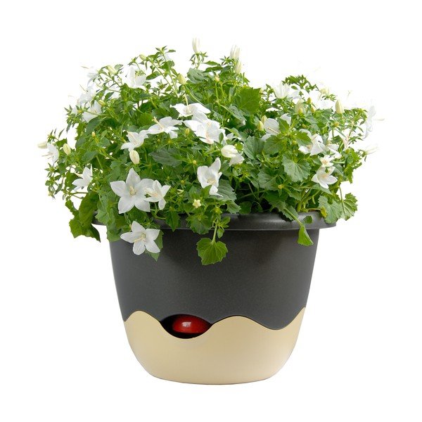 Zili balts iekarināms pašapūdeņojošs puķu pods Plastia Mareta, garums 30 cm-image-3