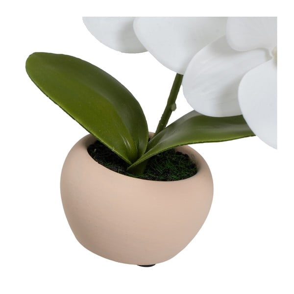 Mākslīgie augi (3 gab.) (augstums 15 cm) Orchid – Casa Selección-image-4