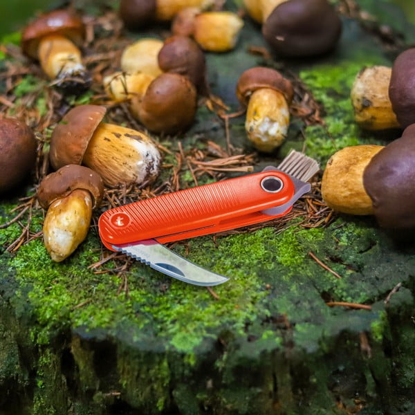 Kabatas nazis Move – Tescoma-image-1