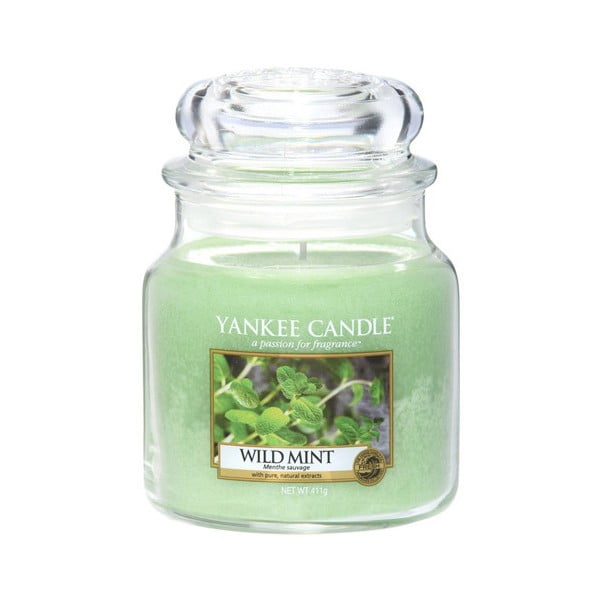 Aromātiskā svece Yankee Candle Wild Mint, degšanas laiks 65 - 90 stundas