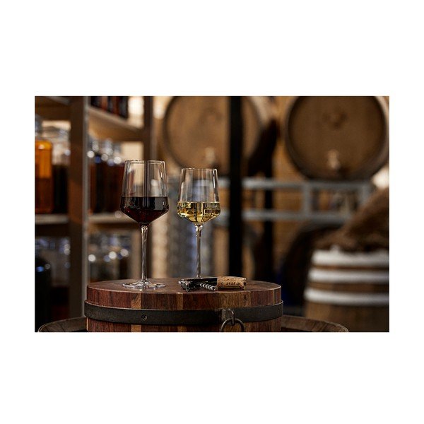 Vīna glāzes (2 gab.) 300 ml Rocks – Zone-image-2