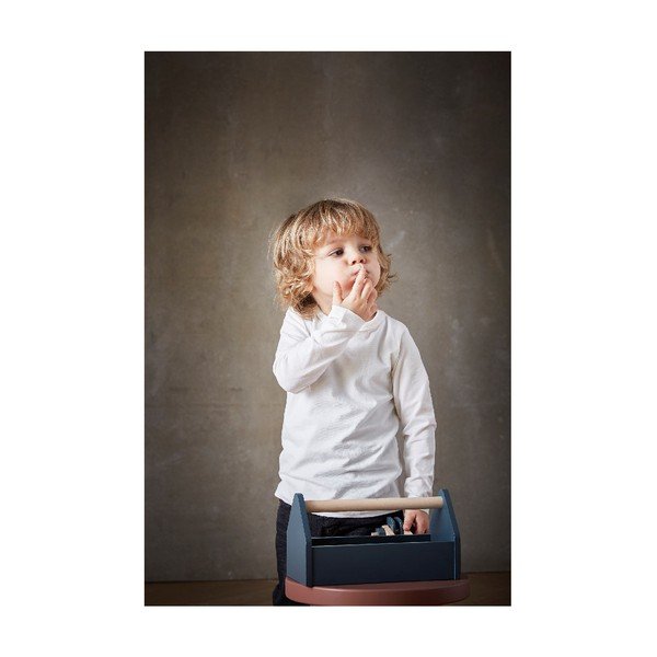 Rīku komplekts bērniem Flexa Play-image-2