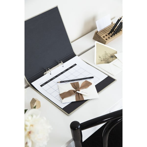 Kartona organizators dokumentiem Ringo – Bigso Box of Sweden-image-2