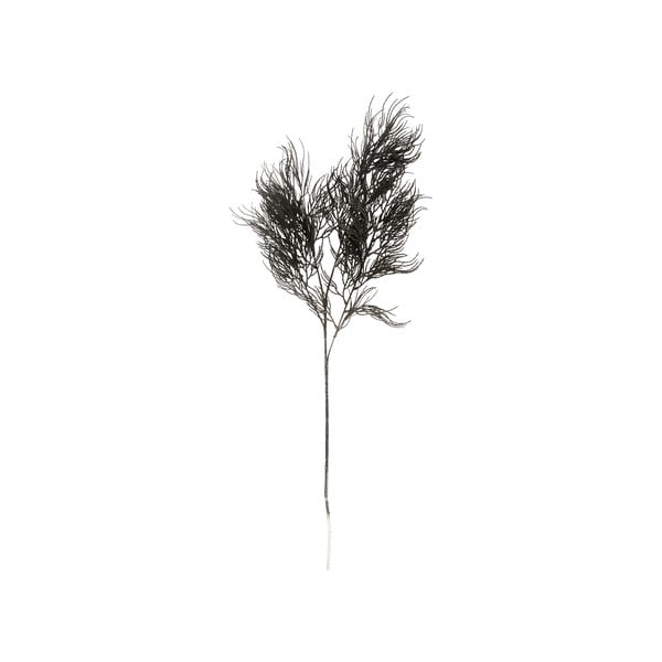 Mākslīgais augs (augstums 86 cm) Asparagus Fern – PT LIVING