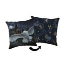 Bērnu spilvens 40x40 cm Harry Potter "Hogwarts" – Jerry Fabrics