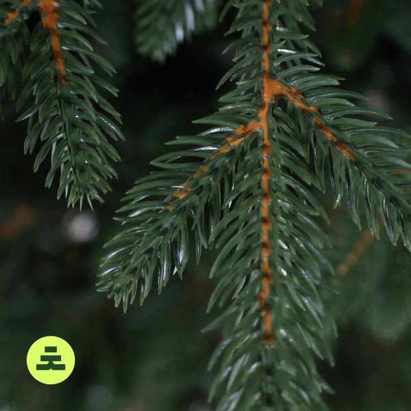 Mākslīgā Ziemassvētku eglīte augstums 150 cm Canadian Spruce 3D – Můj Stromeček-image-4