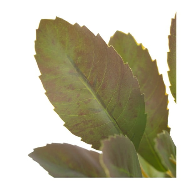 Mākslīgs zariņš (augstums 37 cm) Lemon Tree – Ixia-image-2