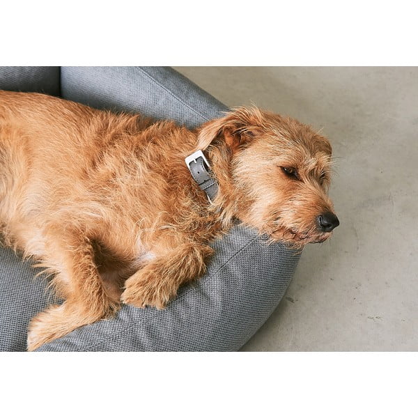Brūna mājdzīvnieku gulta suņiem 55x70 cm Mare Kelp S – MiaCara-image-3