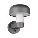 Sienas āra gaismeklis ar kustības sensoru (augstums 24,5 cm) Fraser – Trio