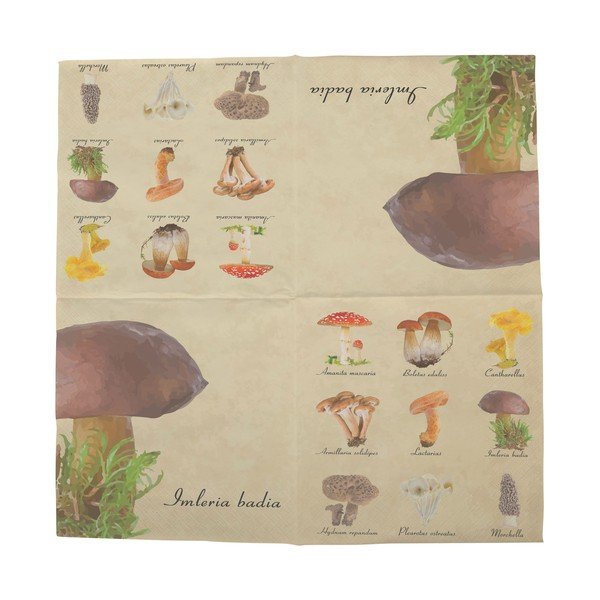 2 iepakojumu komplekts ar 20 Esschert Design sēņu salvetēm-image-1