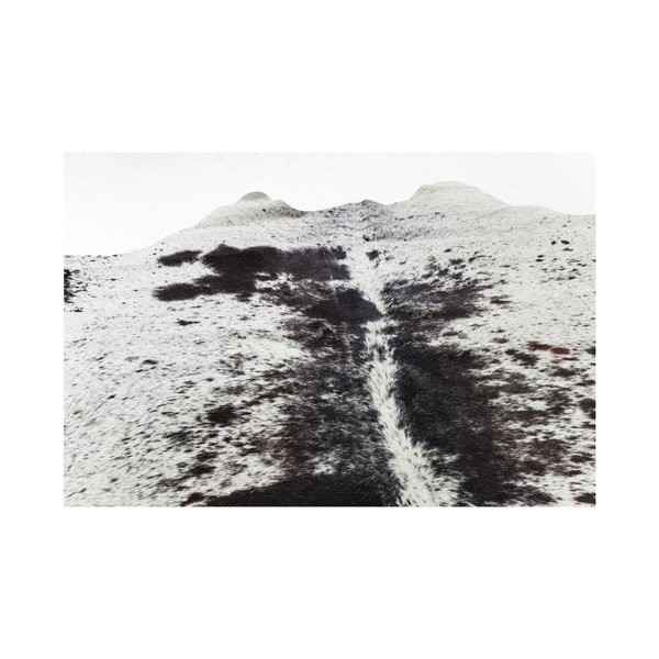 Balts un brūns govs ādas paklājs Kare Design Hide, 190 x 150 cm-image-3