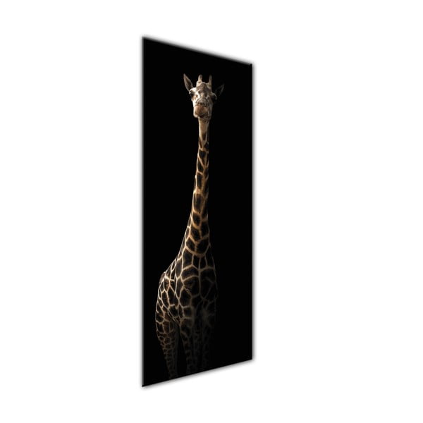 Attēls Styler Glas Animals Gira, 50 x 125 cm-image-1