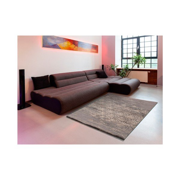 Paklājs Universal Danna , 120 x 170 cm-image-2