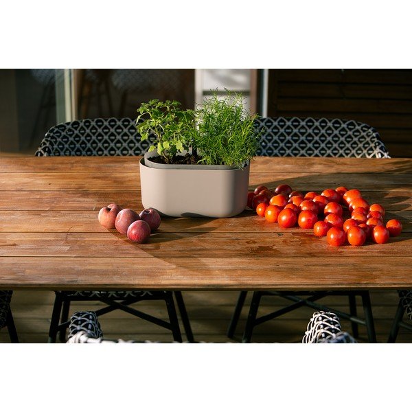 Bēšs pašlaistošs puķu pods Plastia Tolita-image-2