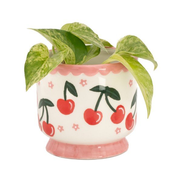 Keramikas puķu poda apvalks ø 7,5 cm Fruit – Sass & Belle-image-1