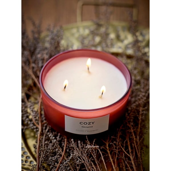 Aromātiskā svece degšanas laiks 25 h Cozy Nectarine – ILLUME x Bloomingville-image-2