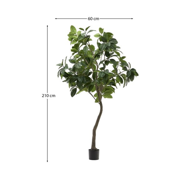 Mākslīgais fikuss (augstums 210 cm) Ficus – Kave Home-image-4