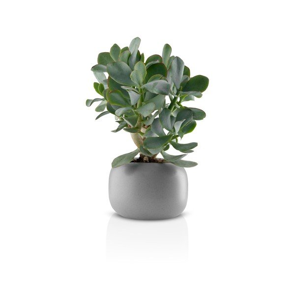 Pelēks keramikas puķupods Eva Solo Stone, Ø 16 cm-image-2