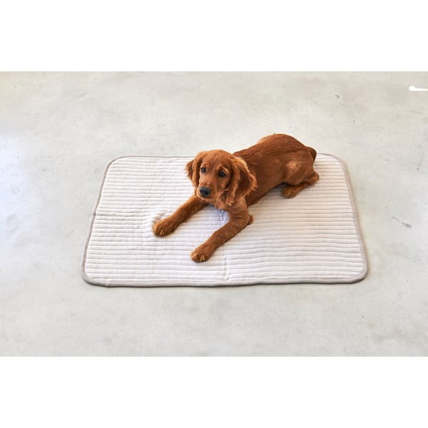 Bēša kokvilnas sega suņiem 90x120 cm Onda Greige L – MiaCara-image-1