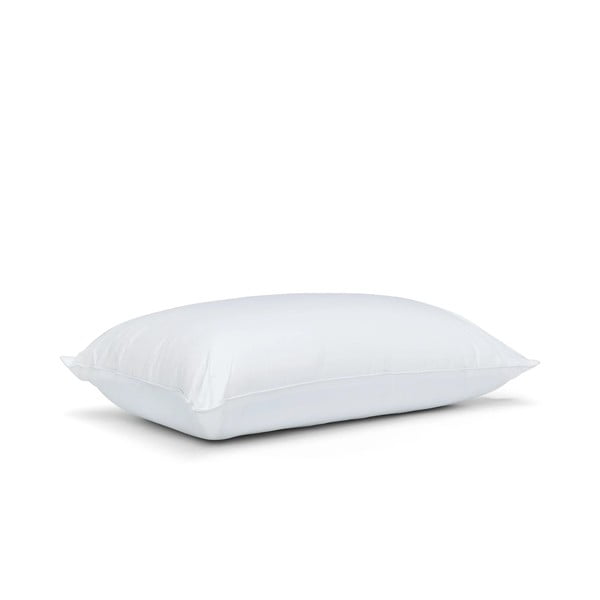 Spilvens ar atmiņas putu pildījumu 48x74 cm Luxury Multi Relax – Catherine Lansfield