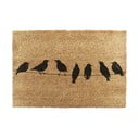 Kokosšķiedras kājslauķis 40x60 cm Birds On a Wire – Artsy Doormats